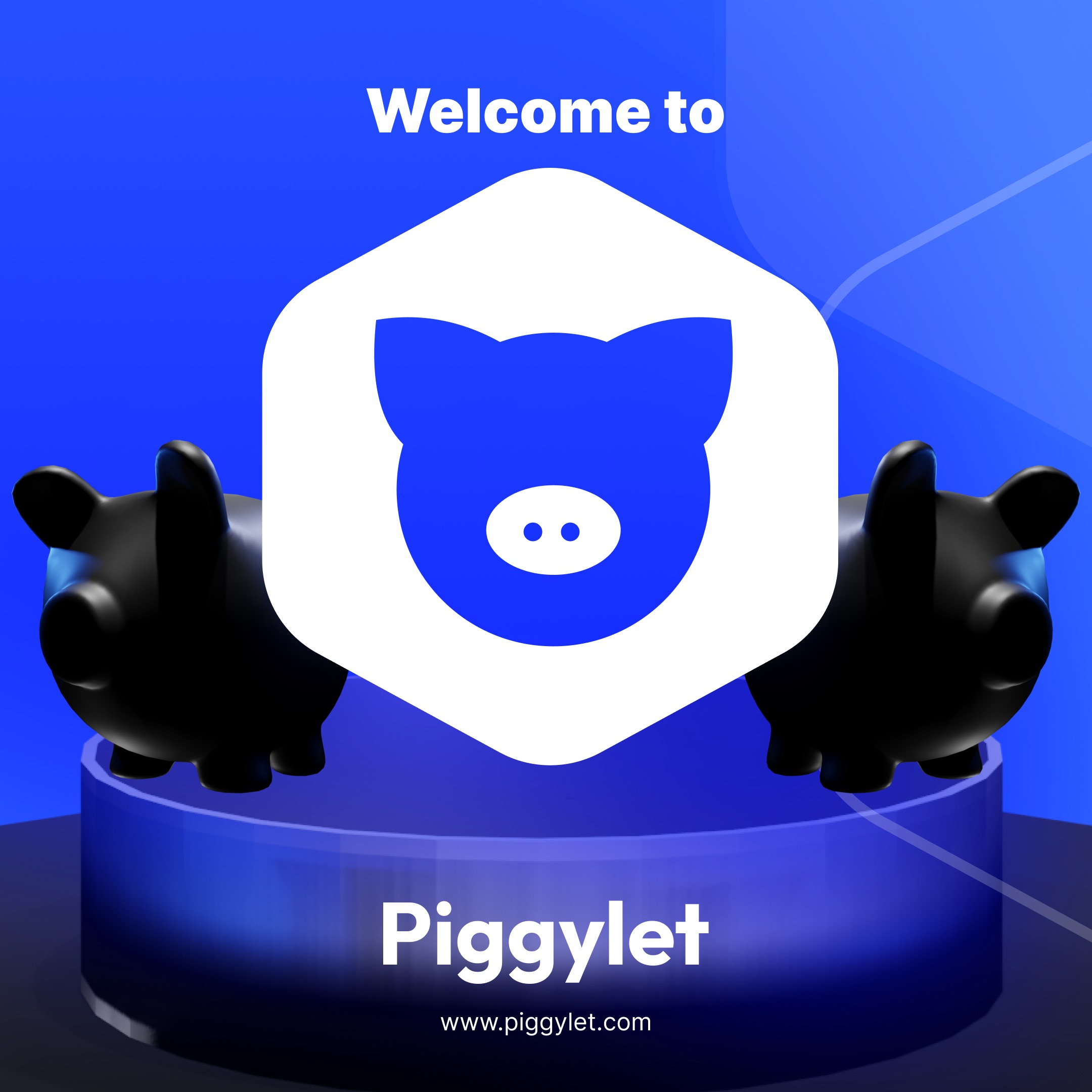 Introduction to Piggylet 
