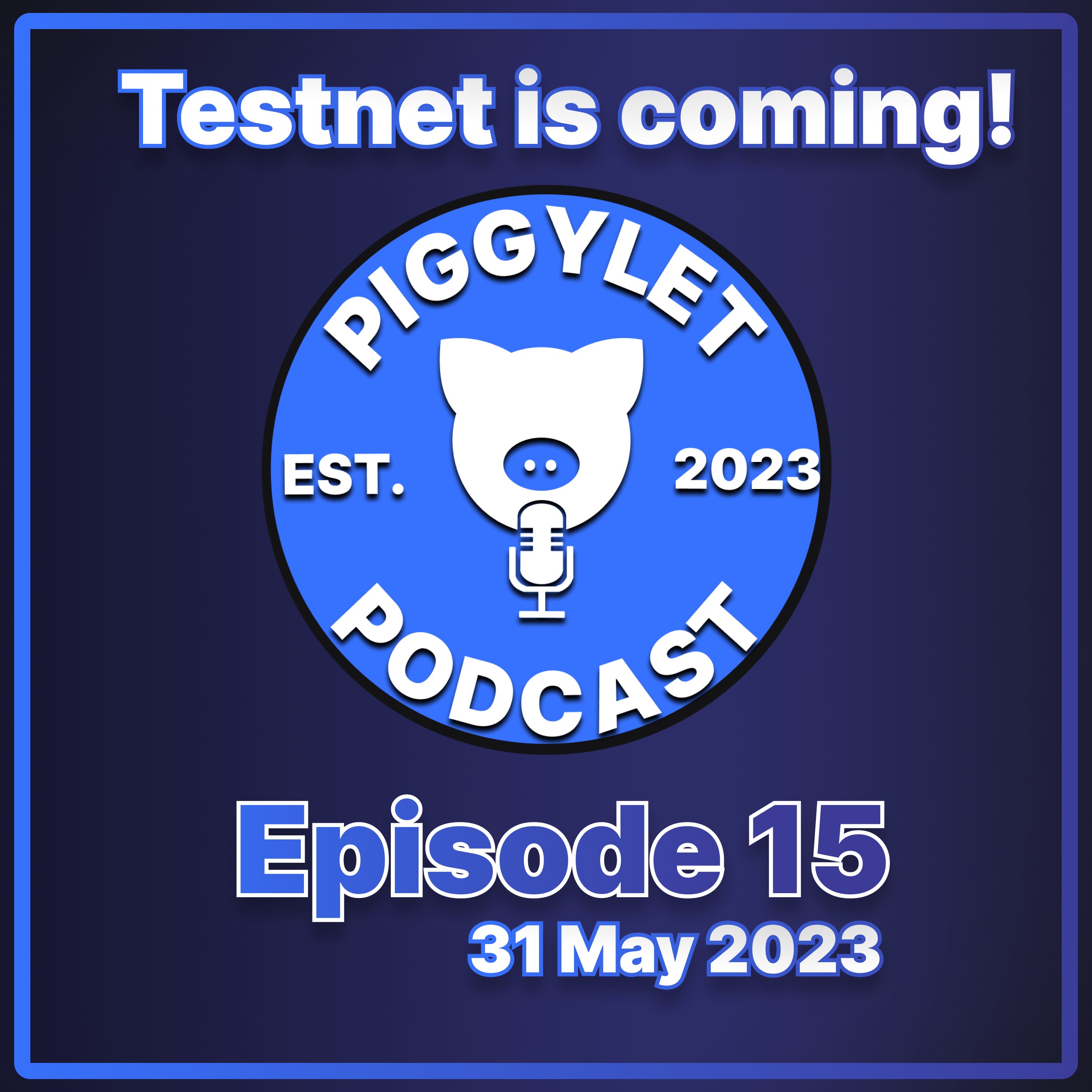Piggylet Podcast: Episode 15 image